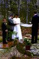 Garden Wedding of Steve & Mary Ann
